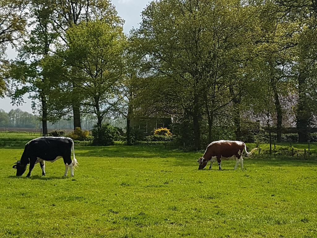 De Hiddinghhoeve Onstwedde Exterior photo